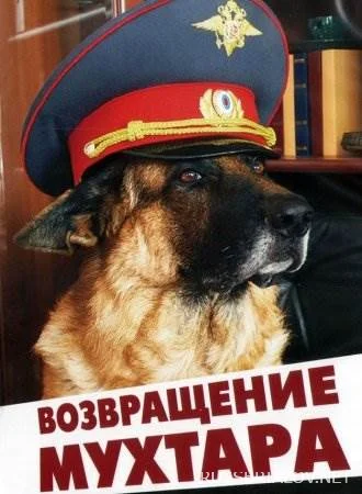 Возвращение Мухтара