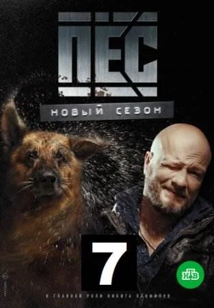 Пёс 7 сезон сериал 2021 Все (1-20 серии) подряд на НТВ смотреть онлайн ...