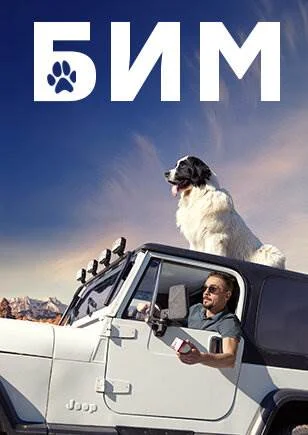 Бим все сезоны