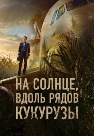 На солнце вдоль рядов кукурузы