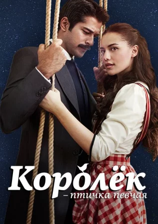 Королек птичка певчая