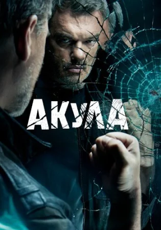 Акула